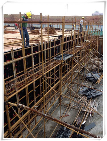 Plastic Formwork