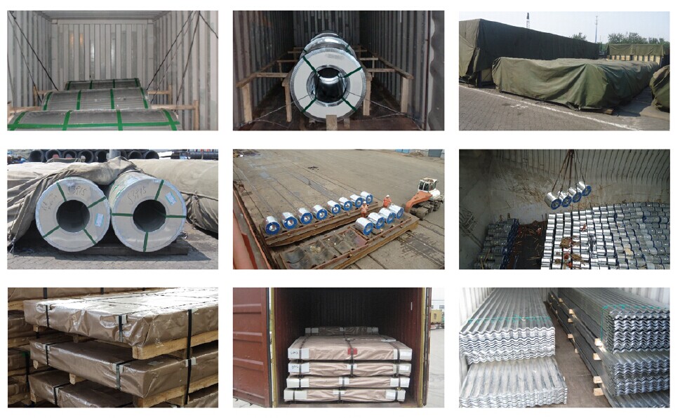 PPGI Steel Coil