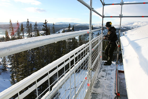 scaffolding coupler