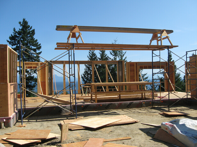 scaffold