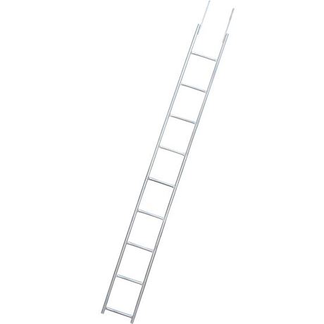 Picture of Monkey Ladder 300*3000