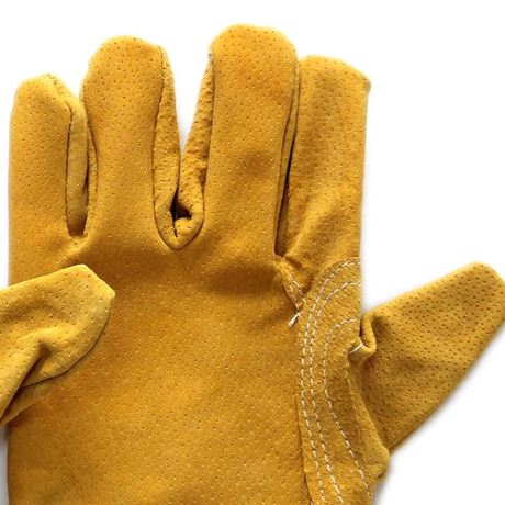 Picture of Short Leather Gloves  ADTO-G12