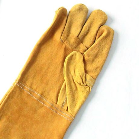 Picture of Long Leather Gloves  ADTO-G11
