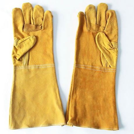 Picture of Long Leather Gloves  ADTO-G11