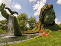 Can you tell what it is: a zoo or a garden?