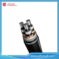 Picture of Cross Linked XLPE or PVC (Cross-linked polyethylene) Insulated Electric Power Cable