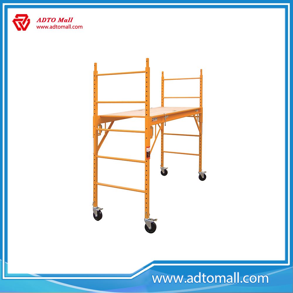 Multi-Functional Scaffold