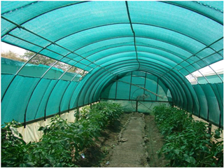 What Types of Shade Nets Are There?
