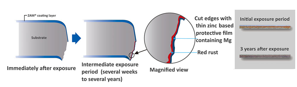 How-to-Protect-Cut-Edge.jpg